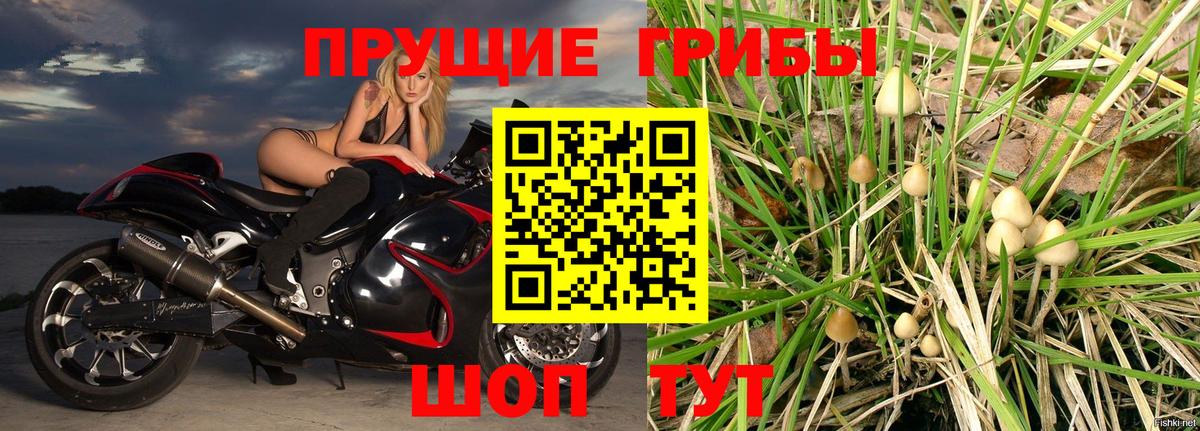 Псилоцибиновые грибы Magic Shrooms Балтийск