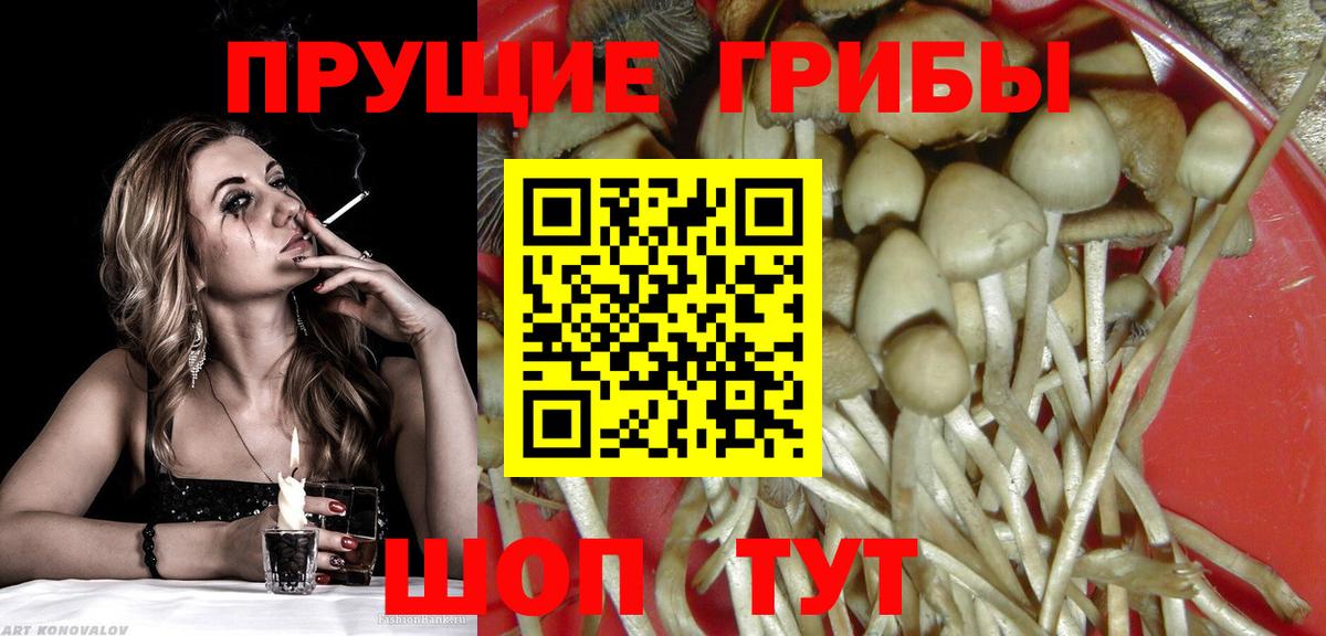 Псилоцибиновые грибы Psilocybe  Псилоцибиновые грибы ЛСД  Вход с VPN  Балтийск 